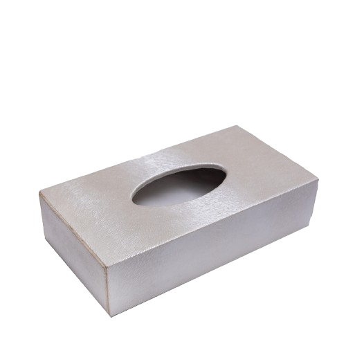 Tissue Box Silver